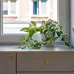 Appartement Koszykowa 3 Varsovie