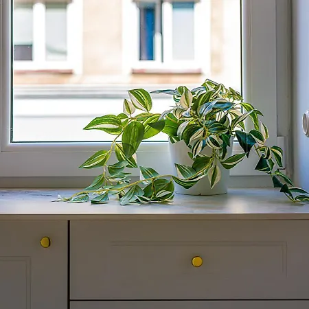 Appartement Koszykowa 3 Warschau