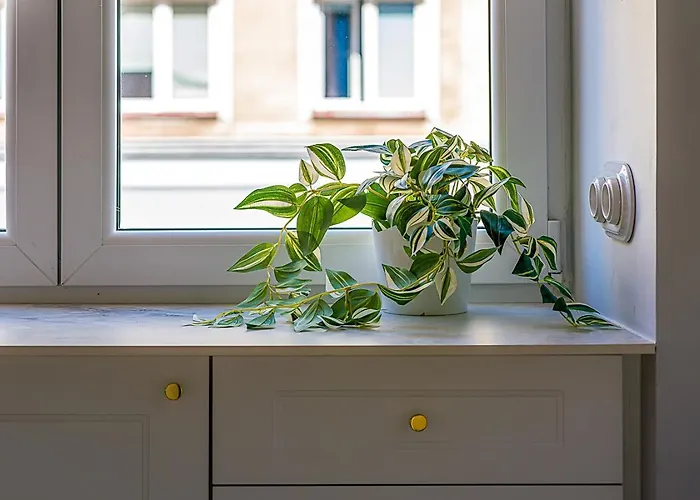 Appartement Koszykowa 3 Varsovie